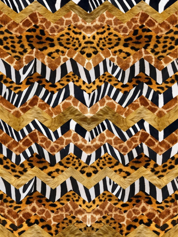 CHEVRON AFRICA III