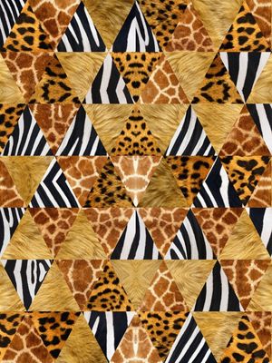 TRIANGULOS AFRICA III