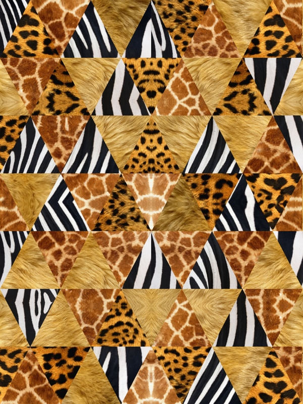 TRIANGULOS AFRICA III