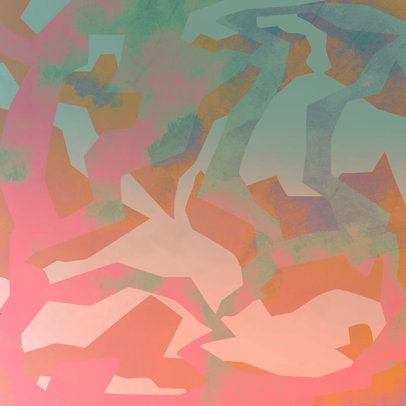 CAMOUFLAGE IX