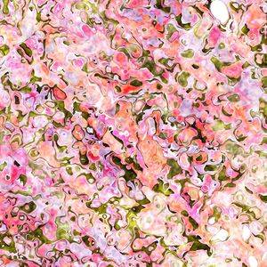 SUMMER BLOOMS