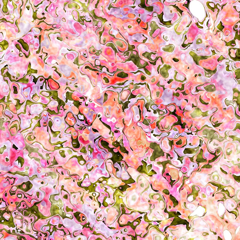 SUMMER BLOOMS