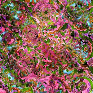 FLOWER GARDEN