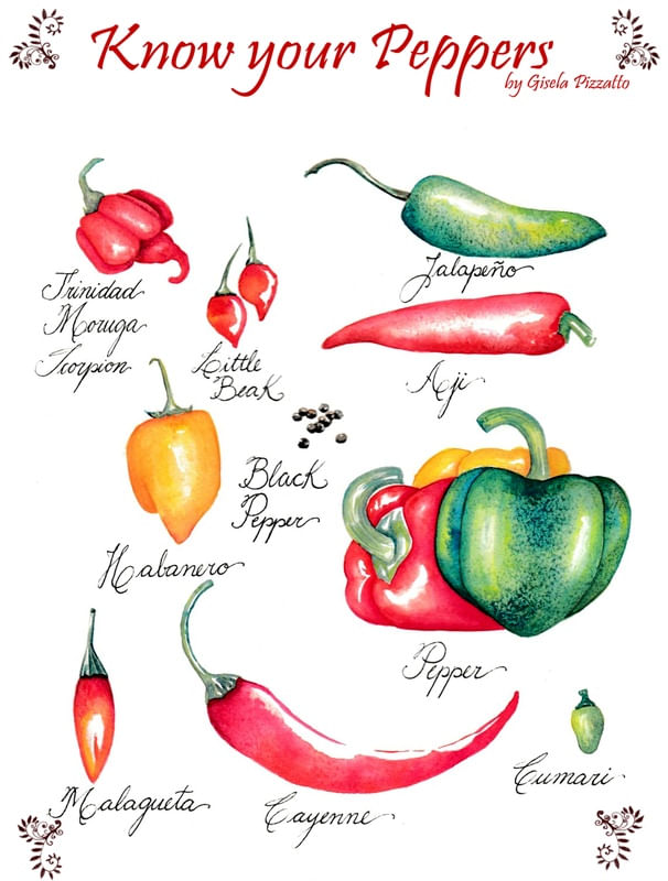 KNOW YOUR PEPPERS