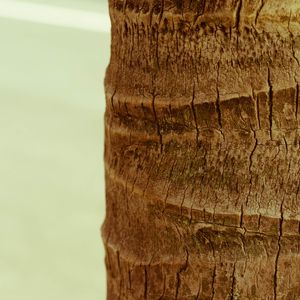 TRONCO 1 MV