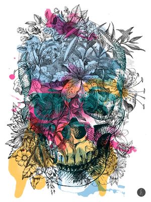 CAVEIRA FLORIDA