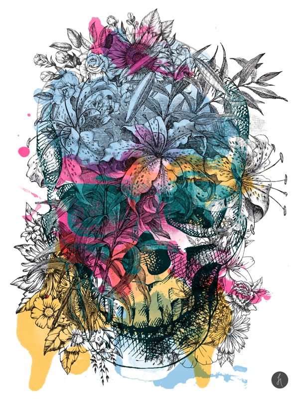 CAVEIRA FLORIDA