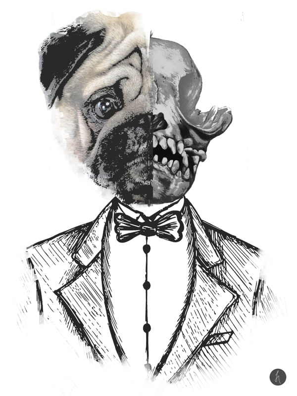 PUG SKULL