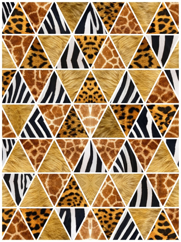 TRIANGULOS AFRICA I