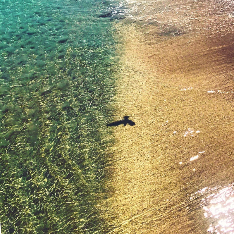 GOOD TO SEA YOU