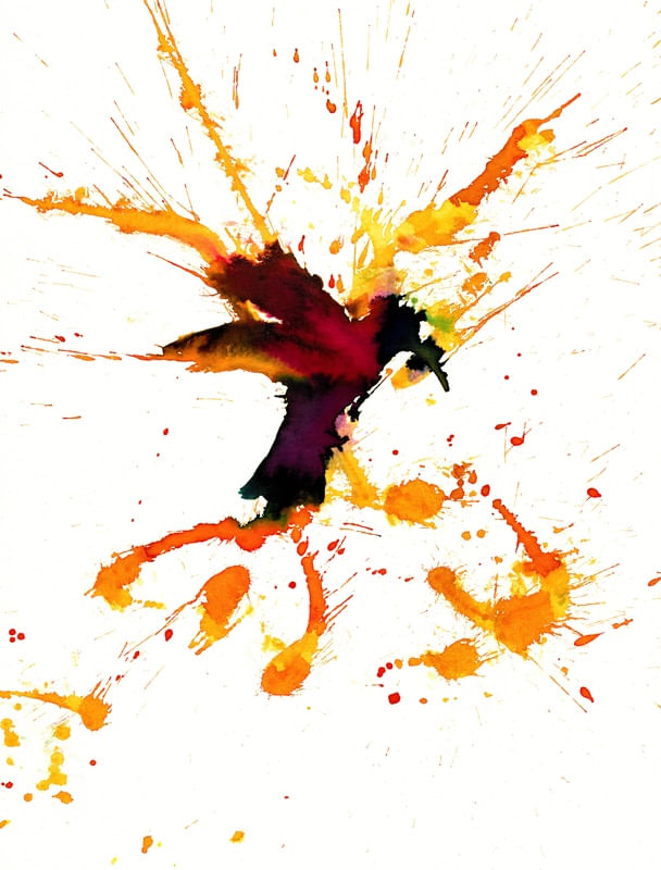 SUPERPOWER HUMMINGBIRD MA