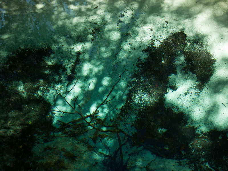 RIVER