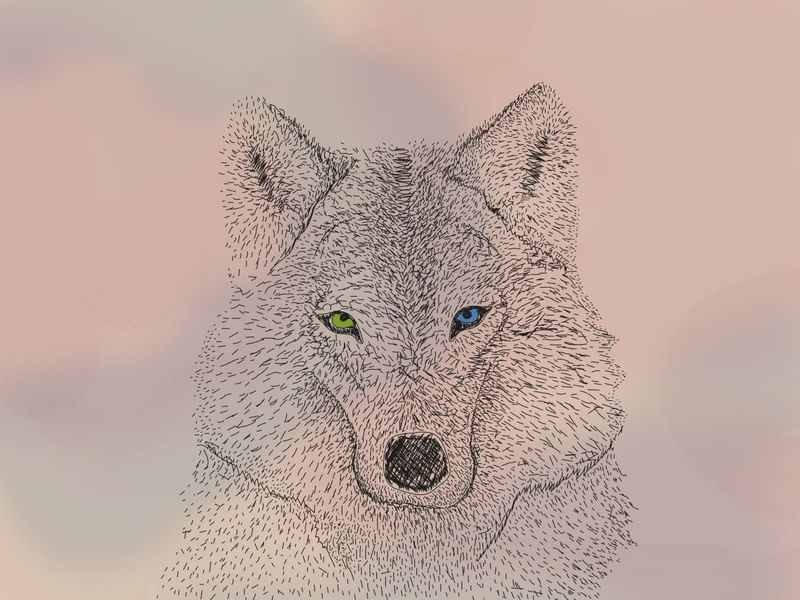 WOLFIE