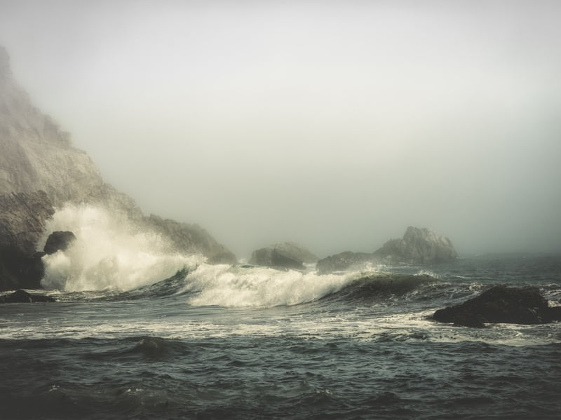 INTO THE WAVES V