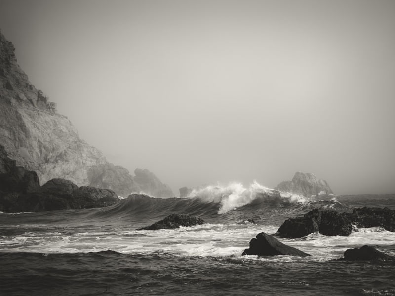 INTO THE WAVES VII