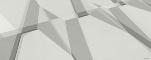 GRAY LINES