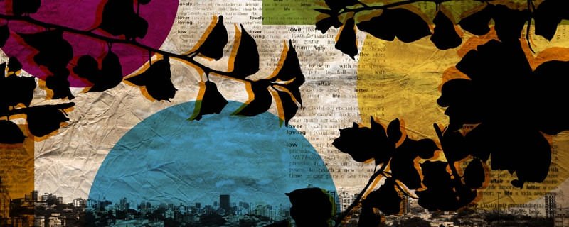 FLOWER CITY 02