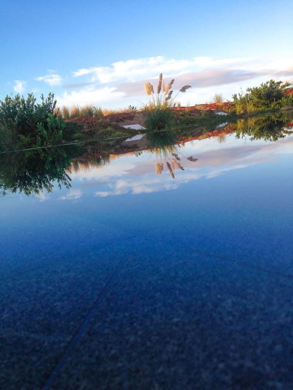 NATUREZA REFLEXO