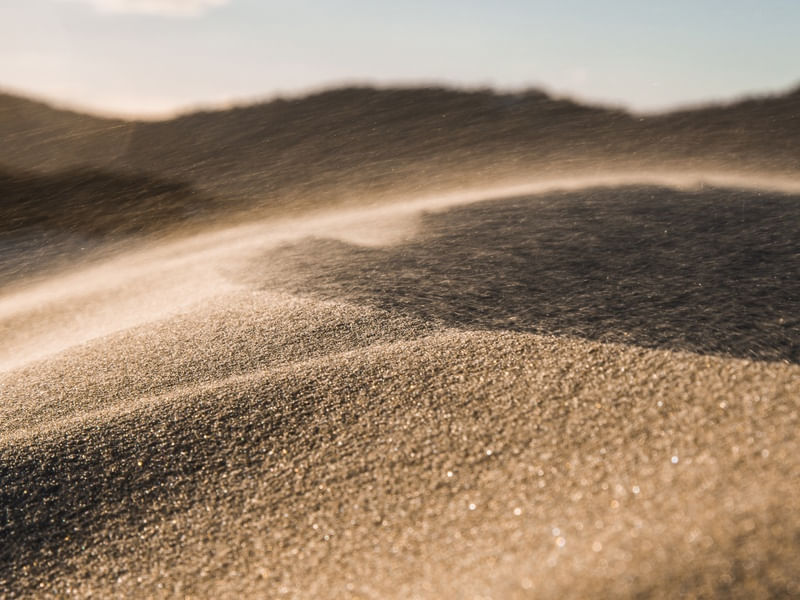 GOLDEN SAND