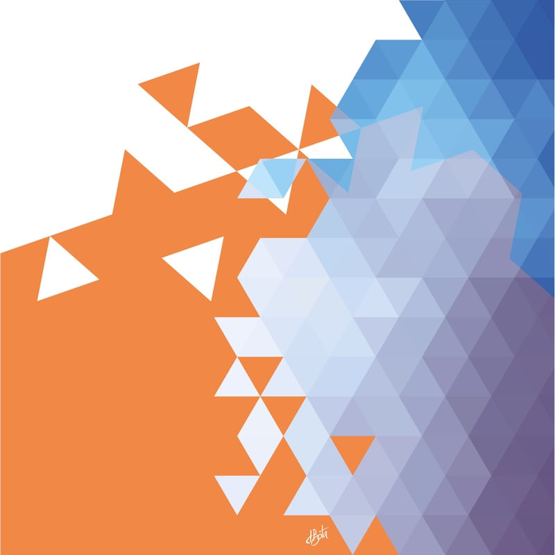 ORANGE GEOMETRIC