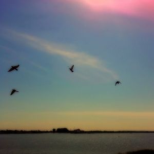 COSTANERA