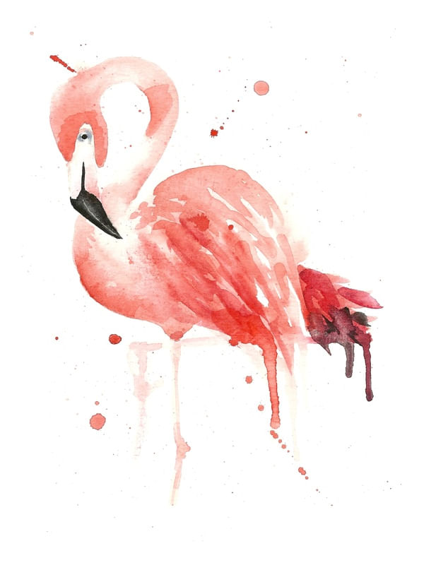 FLAMINGO FLAMINGANDO