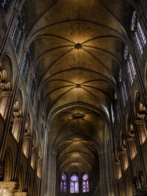 TETO NOTRE DAME