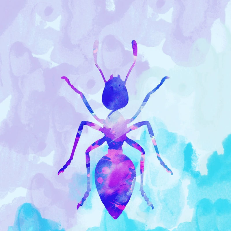 ABSTRACT ANT