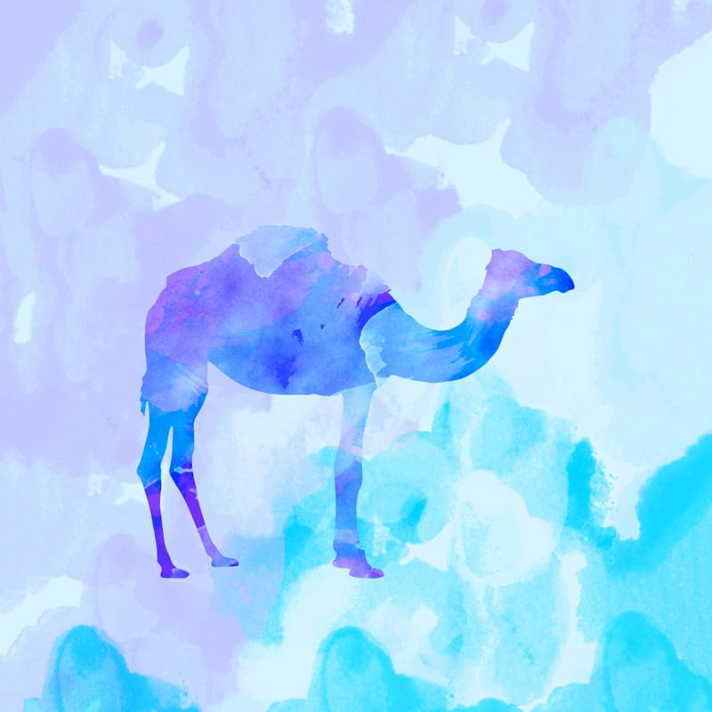 ABSTRACT CAMEL
