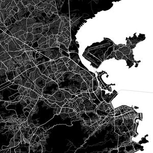 RIO DE JANIERO TRAFFIC MAP BLACK