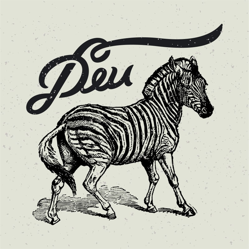 CARTAZ - DEU ZEBRA