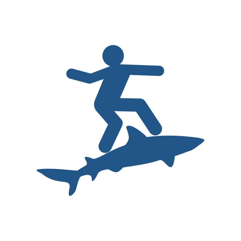 SURF SHARK