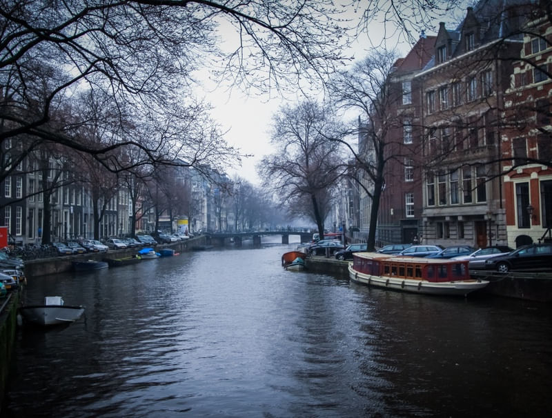 AMSTERDAM WINTER