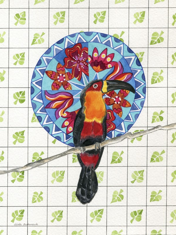 TUCANO E MANDALA