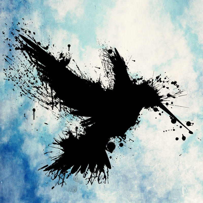 HUMMINGSPLAT