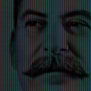 RETRATO DO ARTISTA QUANDO JOVEM II