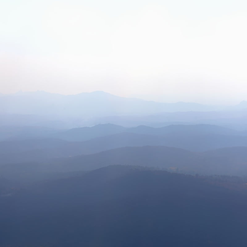BEAUTIFUL HORIZON