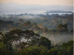 NA AMAZÔNIA