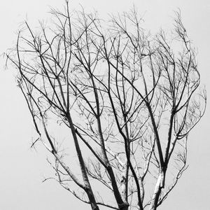 CONSTANT