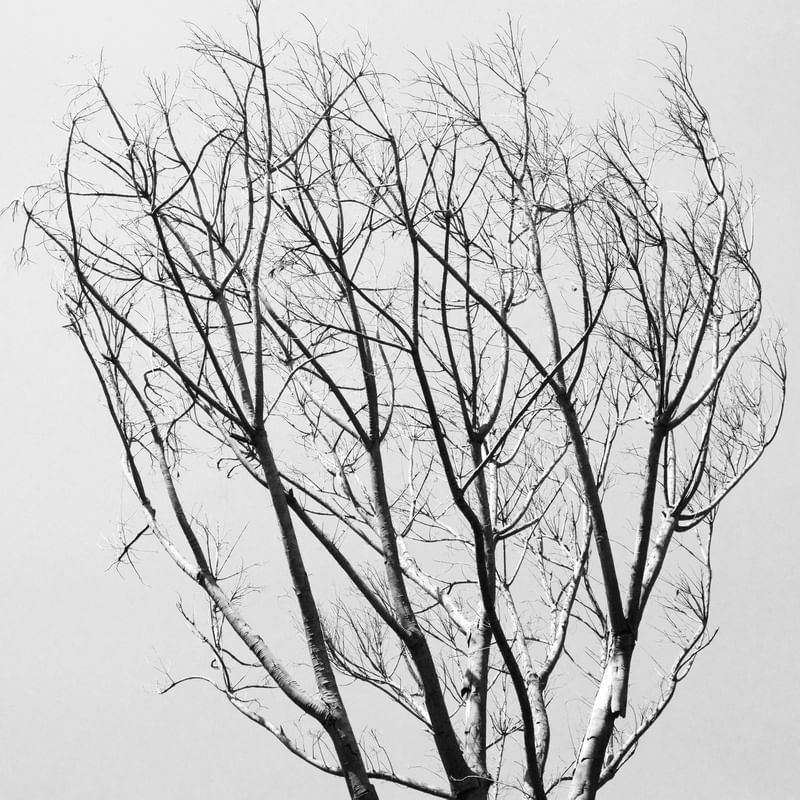 CONSTANT