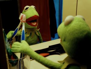 KERMIT'S LIFE