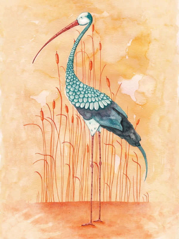 AN EXOTIC STORK