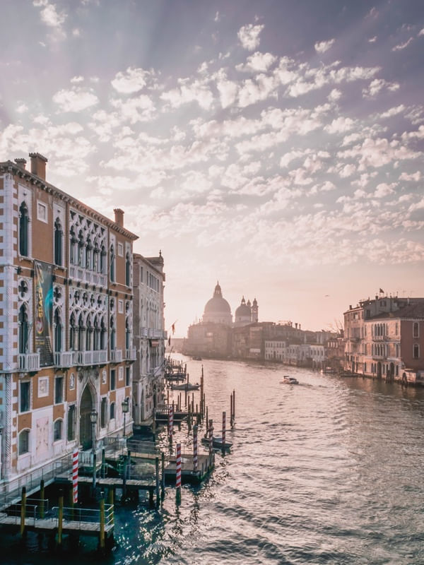 HELLO, VENICE!