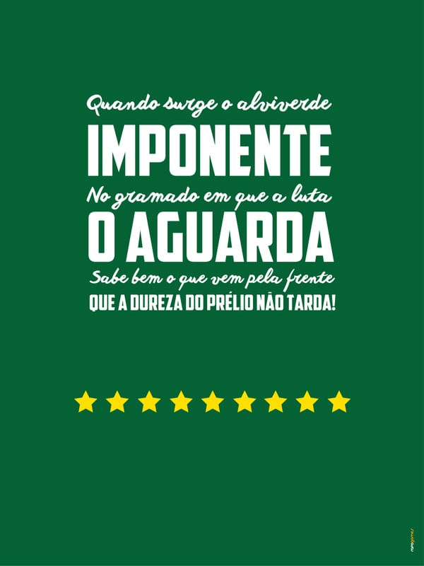 SOCIEDADE ESPORTIVA PALMEIRAS