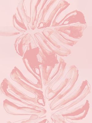 ROSA QUARTZ 01