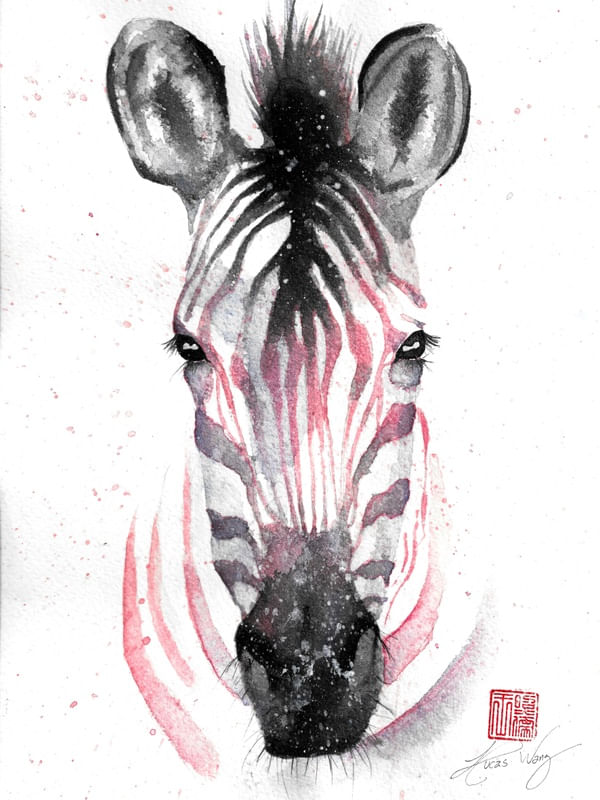 ZEBRA ROSA