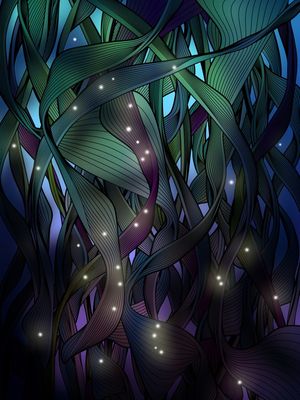 NOCTURNE WITH FIREFLIES