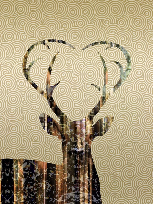 MY DEER GOLD