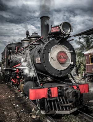 TRAIN 604