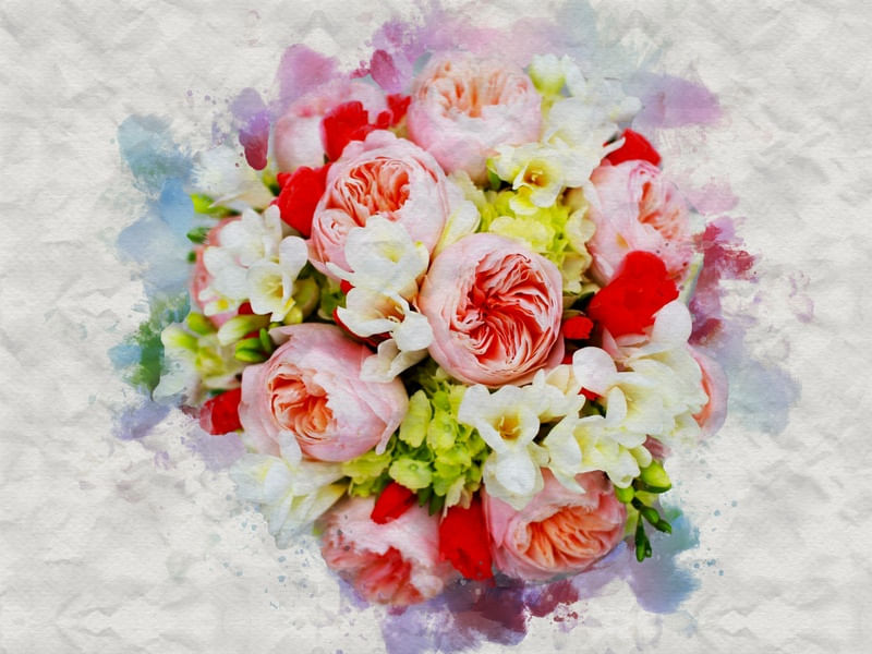 PEONIAS